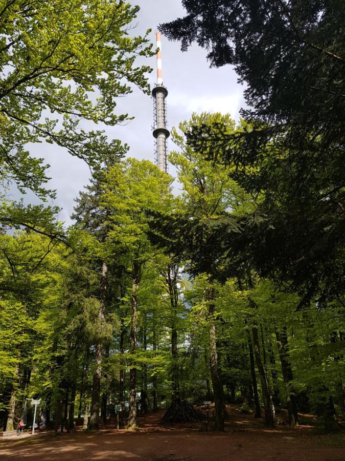 Ferienwohnung 32 im Ferienland Sonnenwald - Bayerischer Wald Schöfweg Exterior foto